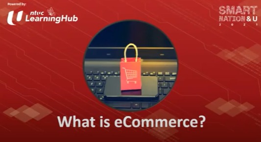 Smart Nation Webinar - Getting started on E commerce WEBINAR